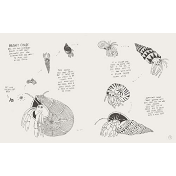 Amazing Facts About Baby Animals Illustrated Compendium