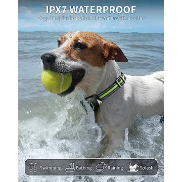 Rechargeable Waterproof E-Collar for Effective Dog Training