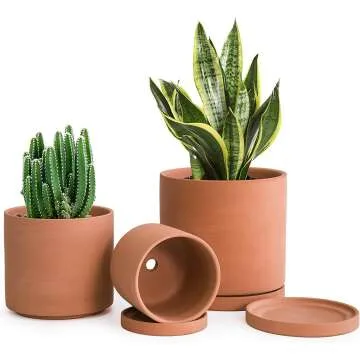 Terracotta Plant Pots - 3 Sizes with Drainage & Saucer