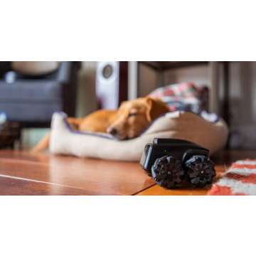 Moorebot Scout Tiny Mobile Camera Robot for Home Monitoring