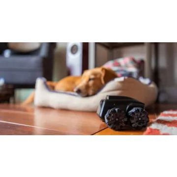 Moorebot Scout Tiny Mobile Camera Robot for Home Monitoring