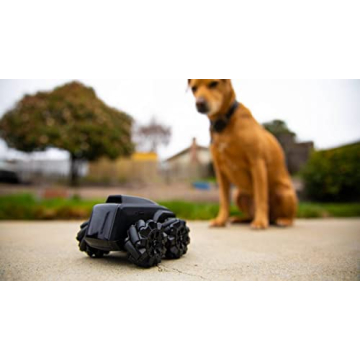 Moorebot Scout Tiny Mobile Camera Robot for Home Monitoring