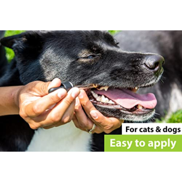 Dr. Judy Morgan's Dental Health Drops for Dogs & Cats