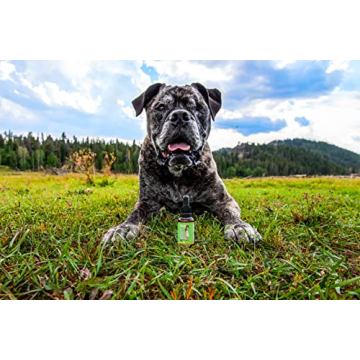 Dr. Judy Morgan's Dental Health Drops for Dogs & Cats