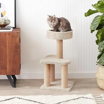 Sturdy Amazon Basics Cat Tree for Indoor Cats