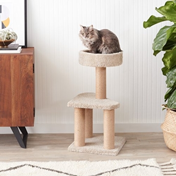Sturdy Amazon Basics Cat Tree for Indoor Cats