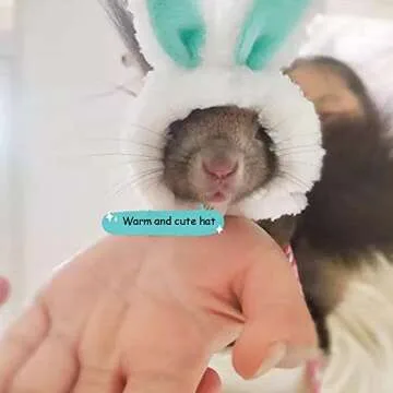 Cute ANIAC Easter Guinea Pig Hat with Bunny Ears