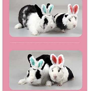 Cute ANIAC Easter Guinea Pig Hat with Bunny Ears