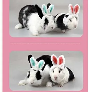 Cute ANIAC Easter Guinea Pig Hat with Bunny Ears