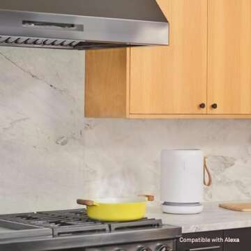 Molekule Air Mini+ | Air Purifier for Small Home Rooms up to 250 sq. ft. with PECO-HEPA Tri-Power Filter for Mold, Smoke, Dust, Bacteria, Viruses & Pollutants for Clean Air - White (Renewed)