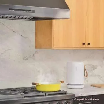 Molekule Air Mini+ | Air Purifier for Small Home Rooms up to 250 sq. ft. with PECO-HEPA Tri-Power Filter for Mold, Smoke, Dust, Bacteria, Viruses & Pollutants for Clean Air - White (Renewed)