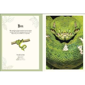 Animal Poster Book with Educational Insights for Kids