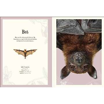 Animal Poster Book with Educational Insights for Kids