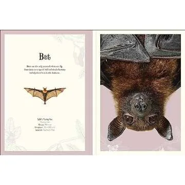 Animal Poster Book with Educational Insights for Kids
