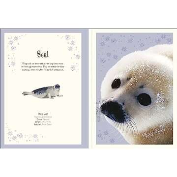 Animal Poster Book with Educational Insights for Kids