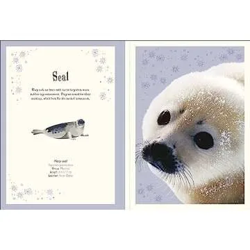 Animal Poster Book with Educational Insights for Kids