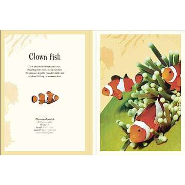 Animal Poster Book with Educational Insights for Kids