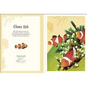 Animal Poster Book with Educational Insights for Kids