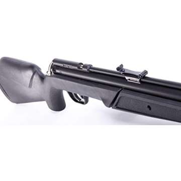 Benjamin 392S .22-Caliber Air Rifle for Accurate Shooting