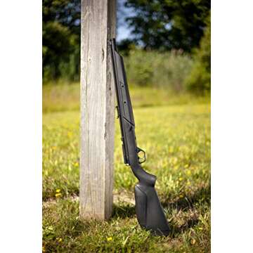 Benjamin 392S .22-Caliber Air Rifle for Accurate Shooting