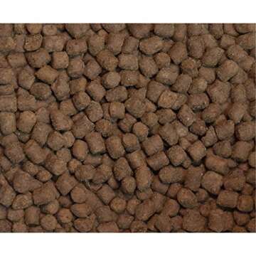 Wysong Ferret Epigen 90 Digestive Support - Dry Ferret Food - 5 Pound Bag(Pack of 1)