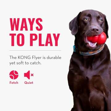 KONG Flyer Durable Dog Toy for Active Outdoor Play
