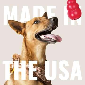 KONG Flyer Durable Dog Toy for Active Outdoor Play