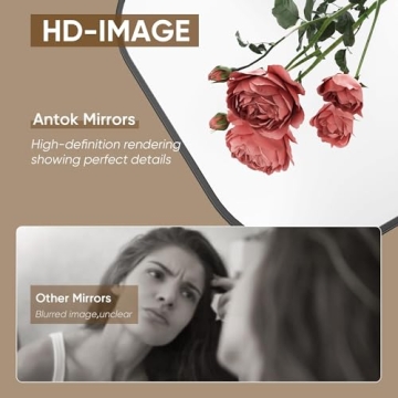 Stylish Antok Full Length Mirror, 78"x38" with Arched Design