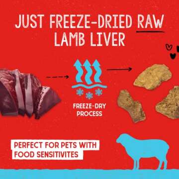 Stella & Chewy's Freeze-Dried Raw Single Ingredient Lamb Liver Treats, 3 oz. Bag