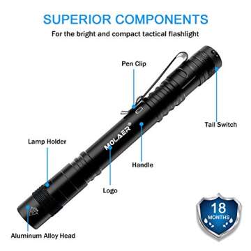 MOLAER UV Black Light Flashlight 2-Pack - Mini 395nm Pen Light for Pest Detection and Inspections