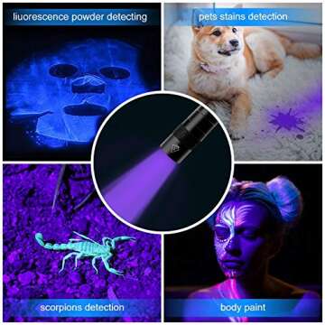 MOLAER UV Black Light Flashlight 2-Pack - Detect & Inspect