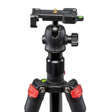 Panasonic Lumix DC-GH5 Mirrorless Micro Four Thirds Digital Camera Body, 2X Transcend 64GB, Professional Video LED Light, Microphone, Accessory Bundle