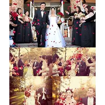 CATTREE Red Rose Petals - 3000 PCS for Weddings & Decor