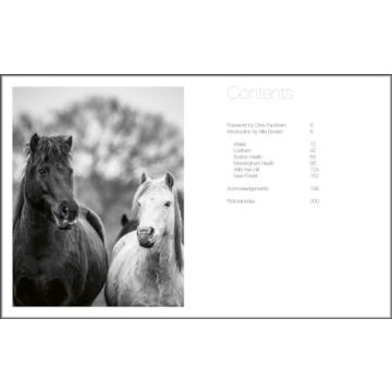 Explore Stunning Wild Horses: A Photography Treasure