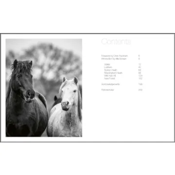 Explore Stunning Wild Horses: A Photography Treasure