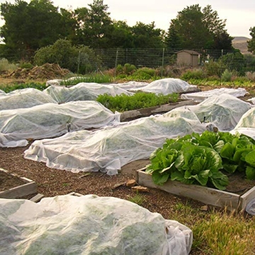 Pachor Big Size Frost Protection Plant Covers 6.6x19.7 FT