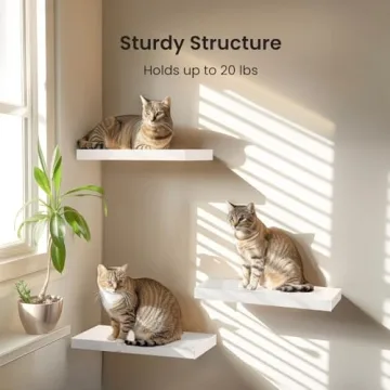 AMADA HOMEFURNISHING Floating Shelves - Set of 3