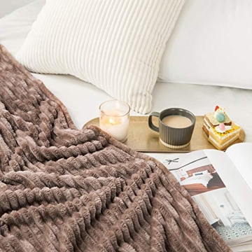 MIULEE Soft Lightweight Fleece Blanket for All Seasons