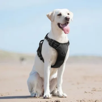 Eagloo Dog Harness Adjustable No Pull for Large Dogs