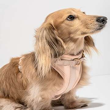 Wild One Dog Harness, The Original No-Pull, Pet Harness with 3 Leash Clips, Adjustable Soft Padded Dog Vest, Comfortable, Stretchy, Size XS, Tan