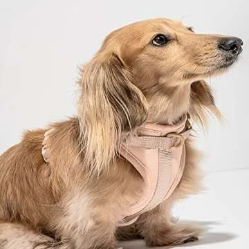 Wild One Dog Harness, The Original No-Pull, Pet Harness with 3 Leash Clips, Adjustable Soft Padded Dog Vest, Comfortable, Stretchy, Size XS, Tan