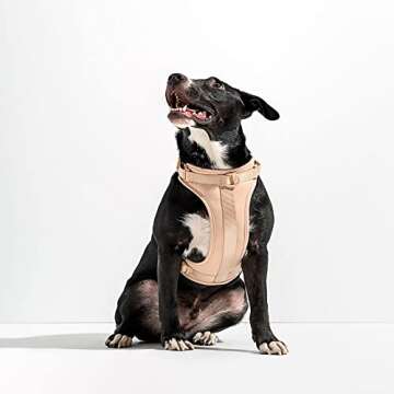 Wild One Dog Harness, The Original No-Pull, Pet Harness with 3 Leash Clips, Adjustable Soft Padded Dog Vest, Comfortable, Stretchy, Size XS, Tan