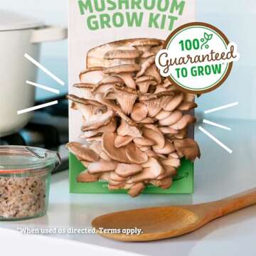 Back to the Roots Organic Oyster Mushroom Grow Kit, Harvest Gourmet Mushrooms In 10 Days
