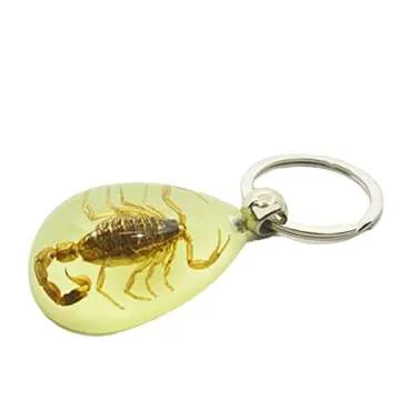 Genuine Scorpion in Teardrop Shape Glow-in-The-Dark Lucite Keychain