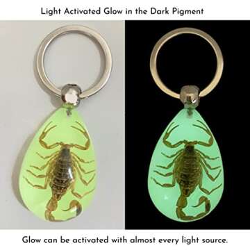 Glow-in-the-Dark Scorpion Keychain - Unique Accessory 1.25" x 1.75"
