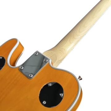 ZUWEI Semi Hollow Body Electric Guitar with Stunning Finish