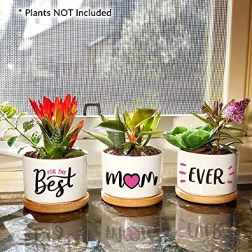 Charming Dachshund Planters - Perfect Gift for Moms