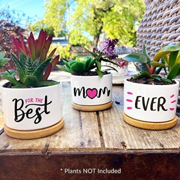 Charming Dachshund Planters - Perfect Gift for Moms
