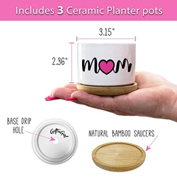 Charming Dachshund Planters - Perfect Gift for Moms