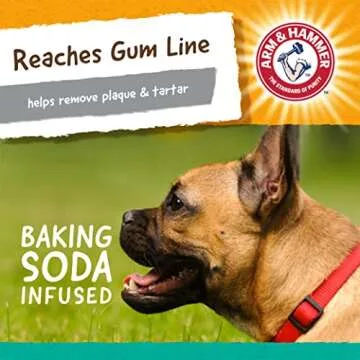 Durable Arm & Hammer Gorilla Dental Chew Toy for Dogs